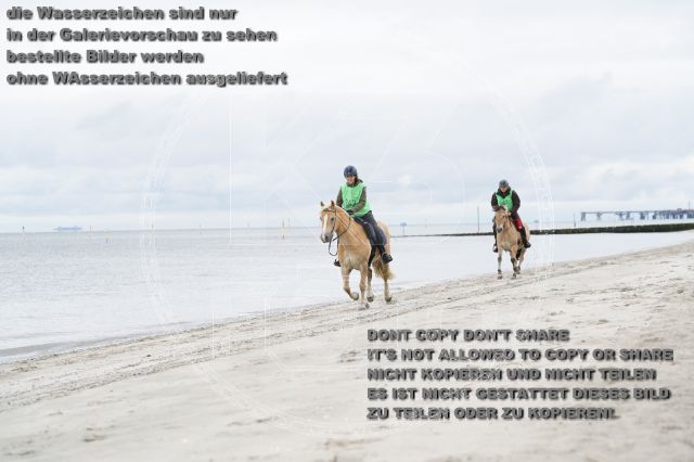 s_K3F04764.JPG
